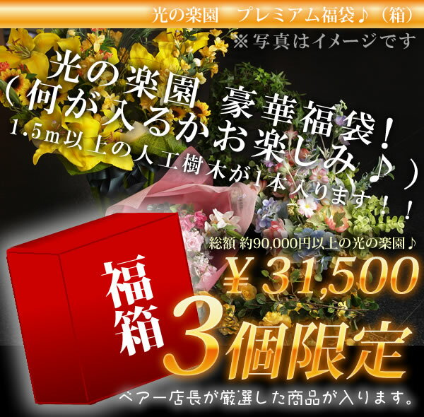 光の楽園 プレミアム福袋セット 31,500円！レビュー記入で送料無料！光の楽園の豪華福袋！限定3個のみ★福箱！？