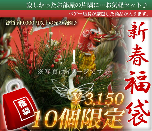 光の楽園福袋3,150円！寂しかったお部屋の片隅に…お気軽セットレビュー記入で送料無料♪限定数販売で超お買い得！光の楽園の造花・人工観葉植物の豪華福袋！