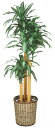 【期間限定 送料無料】光触媒　光の楽園 幸福の木 （ドラセナ） 高さ1.8m【インテリアグリーン フロアタイプ 大型人工観葉植物 180cm】
