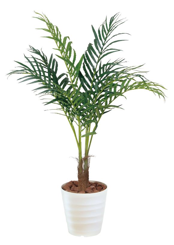 ۽ˤŹˤʤɤΥեȤˡءŹΥƥꥢˤ줤餺θγڱޡγڱ 쥫ѡ ڥƥꥢ꡼ ե ͹տʪ ۹⤵1.1mڳڥ_Τ