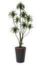 光触媒 光の楽園ドラセナコンパクタ1.6m【インテリアグリーン 人工観葉植物】