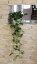 光触媒 観葉植物 光の楽園壁掛けフィロ 長さ65cm【造花 人工観葉植物】
ITEMPRICE