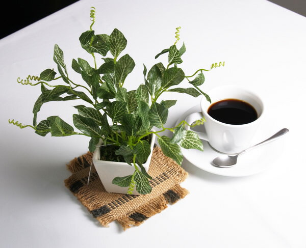 եȡˤʡƥꥢ˰첡˻ʤ˺Ŭʡ줤餺θγڱࡣ γڱ եåȥ˥ڥ꡼ơ֥륿 ͹տʪ