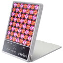 【エントリーで+P10倍!1/1(火)9:59まで】ヴォーグインターナショナル エクスイディアル LED美容器 EX-280