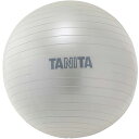 タニタ タニタサイズ ジムボール シルバー TS-952-SV