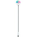 ION Audio Party Ball USB パーティーライト IA-ACC-004
