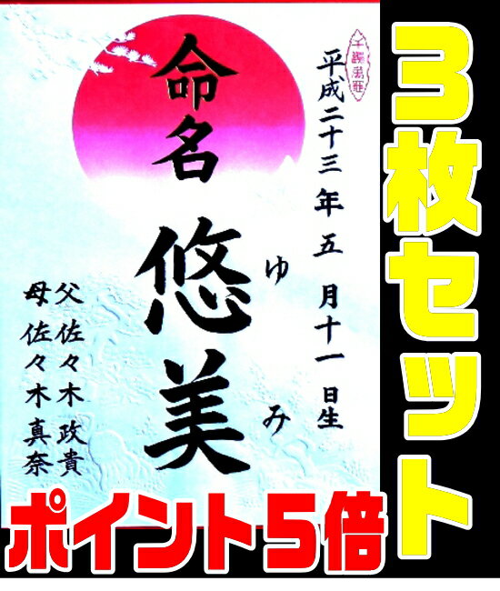 【命名用紙】【定形外郵便対応】◆ワンコインB4サイズ命名書3枚セット（赤丸）【手書き筆文字】【命名紙】