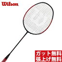 【期間限定クーポン発行中】【税込み5,000円以上で300円OFF】 ウィルソン(Wilson) ブレイズSX7700J カウンターヴェイル (BLAZE SX 7700J CV) WRT8829202 2018年モデル バドミントンラケット