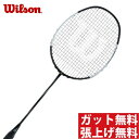 【期間限定クーポン発行中】【税込み5,000円以上で300円OFF】 ウィルソン(Wilson) ブレイズSX8000J スパイダー (BLAZE SX 8000J SPIDER) WRT8827202 2018年モデル バドミントンラケット