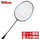 【期間限定クーポン発行中】【税込み5,000円以上で300円OFF】 ウィルソン(Wilson) ブレイズSX9900 スパイダー (BLAZE SX 9900 SPIDER) WRT8824202 2018年モデル バドミントンラケット