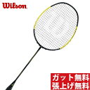 【期間限定クーポン発行中】【税込み5,000円以上で300円OFF】 ウィルソン(Wilson) ブレイズSX9000 スパイダー (BLAZE SX 9000 SPIDER) WRT8825202 2018年モデル バドミントンラケット