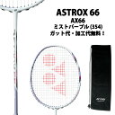 【期間限定10%オフクーポン発行中!】ヨネックス(YONEX)アストロクス 66(ASTROX 66)