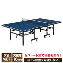 ビジョンクエスト(VISION QUEST) セパレート式卓球台 国際規格サイズ VQ530509I02 天板16mm キャスター付き 組立工具付属
