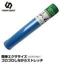 ビジョンクエスト VISION QUEST ヨガポール ストレッチ用ポール バランスアップ エクササイズローラー VQTTN001