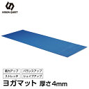 ビジョンクエスト VISION QUEST ヨガマット 厚さ4mm VQMTN004 エクササイズマット ストレッチマット ホットヨガマット