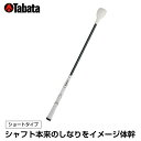 タバタ TABATA ゴルフ 練習用 練習器具 スイング練習器 素振り用練習器具 トルネード