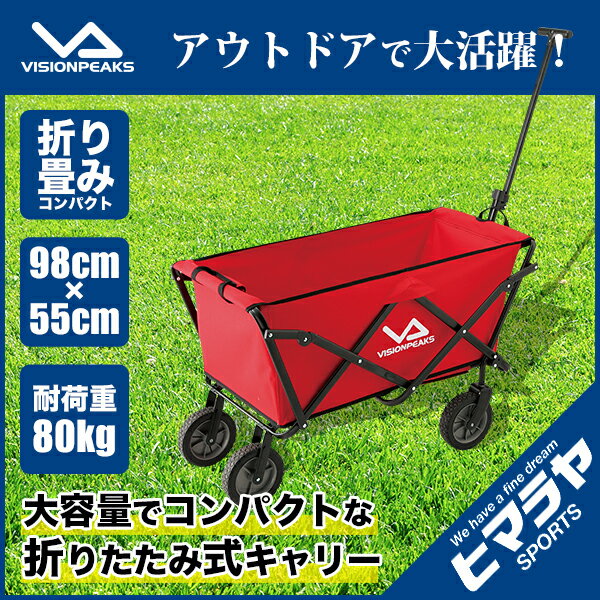 ビジョンピークスリー フォールディングキャリー