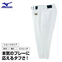 ミズノ MIZUNO野球 ウェア 練習着 ユニフォームパンツ 練習用 ユニフォーム パンツ シ