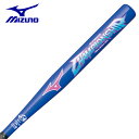 ミズノ MIZUNO ソフトボールバット ソフトボールFRP製1.2号ボール用 チャンピオンシップ 1CJFS60978 ソフトバット