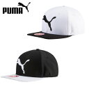 プーマ PUMA ゴルフ メンズ ディスク キャップ 053...