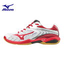 ミズノ MIZUNO バドミントンシューズ メンズ ウエーブ...
