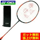 lbNX oh~gPbg Y fB[X NANORAY i-SPEED imCi-Xs[h NR-ISP-160 YONEX