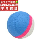 フィールドフォース FIELDFORCE 野球 トレーニングボール 回転チェックボール J号 FNB-681JK