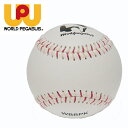 ワールドペガサス 野球 硬式ボール 練習球 硬式練習球ケブラー使用 WBBPK WORLD PEGASUS