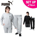 v[} X|[cEFA㉺Zbg fB[X ESS N[ + ESS 853881 + 853908 PUMA