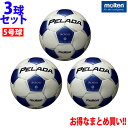 モルテン サッカーボール 5号球 検定球 3点セット ペレーダ3000 F5P3000 molten