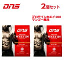 ディーエヌエス DNS プロテイン 2点セット プロテインホエイ100 マンゴー風味 1,000g 1kg D11001110502MN