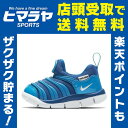 ナイキ NIKE キッズシューズ ジュニア ダイナモ フリー 343938-419