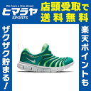 ナイキ NIKE ジュニアシューズ ジュニア ナイキ ダイナモ フリー PS 343738-308