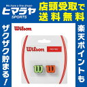 ウイルソン Wilsonテニス 振動止めPRO FEELプロ・フィールWRZ538700