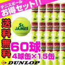 ダンロップ（DUNLOP） 硬式テニスボール4球×15缶セット セントジェームス DSTJAMESD4DOZ箱売り DUNLOP 硬式テニスボール