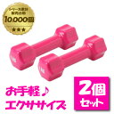 ダンベルセット カラーダンベル1kg×2個セット VQ580104I01 ビジョンクエスト(VISION QUEST)