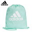 アディダス ナップサック メンズ レディース ビッグロゴジムバッグ DM7664 BFP39 adidas sw