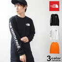 THE NORTH FACE ザ ノースフェイス M L/S TNF SLEEVE HIT TEE ロングスリーブ Tシャツ TNF アウトドア ストリート メンズ レディース 長袖 トップス カットソー 袖ロゴ NF0A471K USライン 【あす楽対応】 【メール便対応】