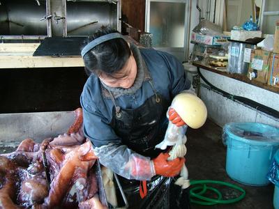 タコの卵 たこの卵 冷凍ミズタコ生卵 たこまんま 北海道産2kg 【送料無料】...:hipparitako:10018163