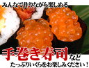 イクラ 醤油漬 サケ 秋鮭 いくら醤油漬 200g化粧箱2個入り レターパックで送料無料 お花見 母の日 お歳暮 ギフト