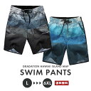 【送料無料】 メンズ 地図柄 水着【マップ 男性用