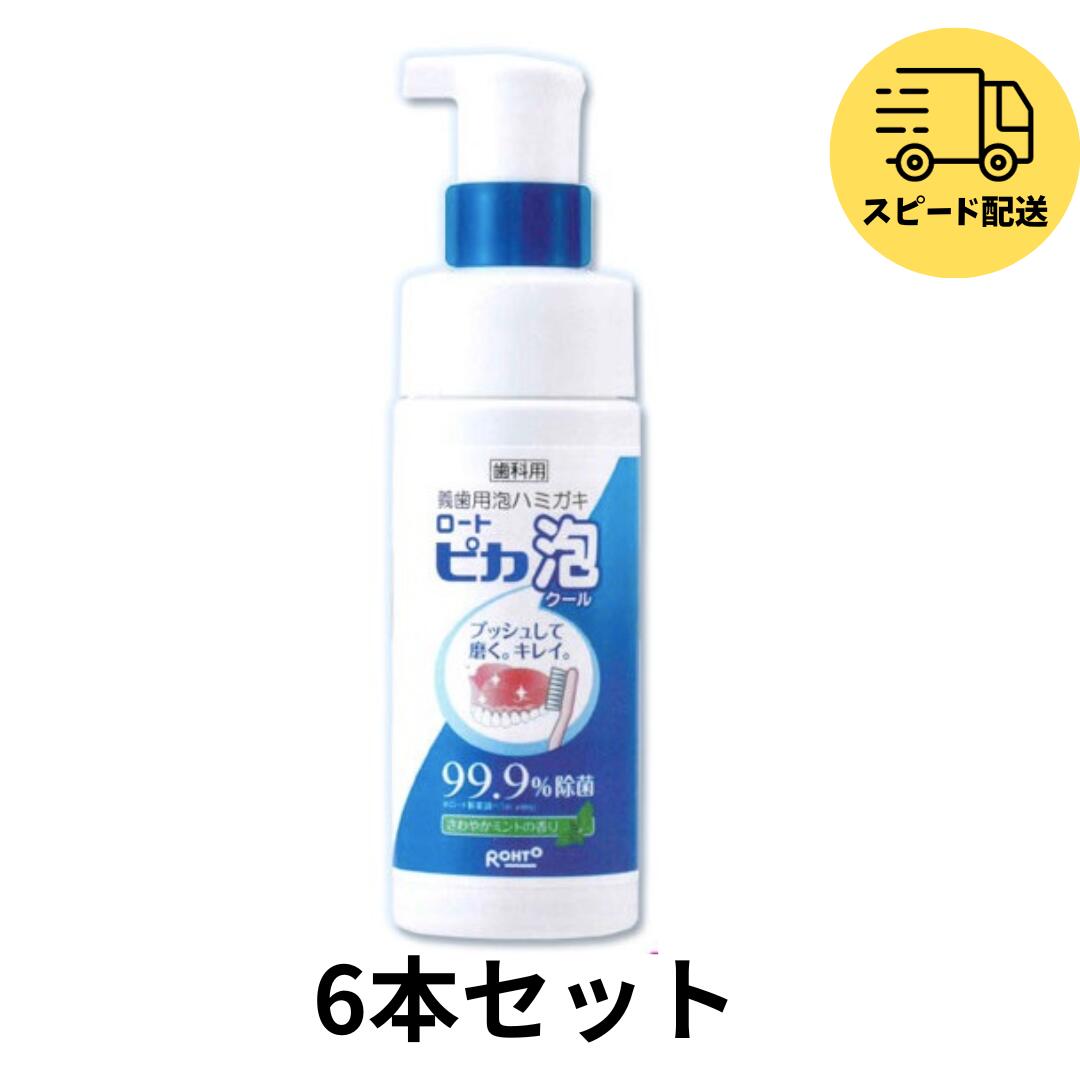 【クーポン対象商品】 【送料無料】6個セット <strong>松風</strong> <strong>義歯用泡ハミガキ</strong> <strong>ロート</strong> <strong>ピカ</strong> <strong>泡クール</strong> 150ml 義歯 洗浄 デンチャー