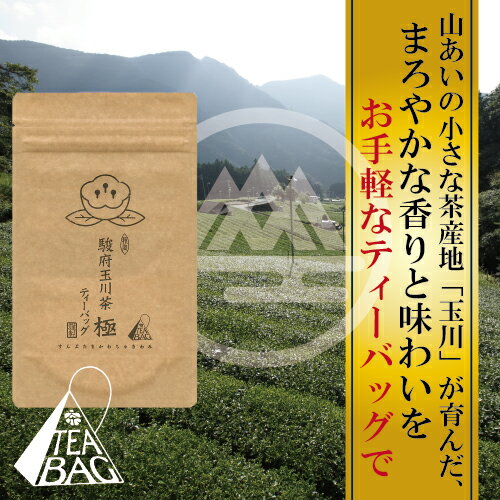 【新茶】【静岡産】駿府玉川茶 極 ティーバッグ〈チャック袋入り〉3g×12個【減農薬栽培】極上のお茶を気軽にティーバッグで。