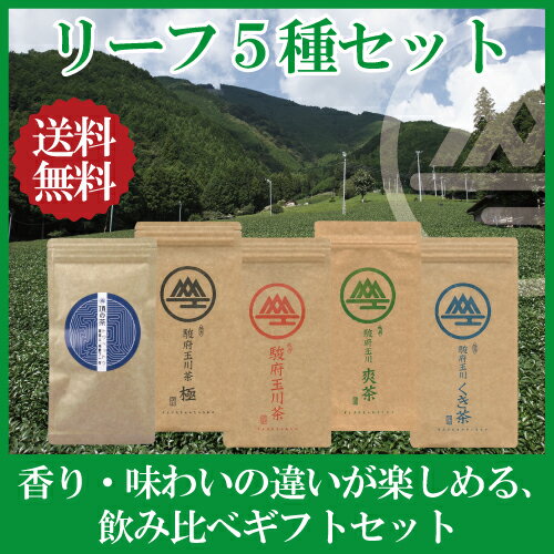 オリジナルリーフ5種セット 【2017年5月31日より新茶販売開始】 【送料無料】 日本茶…...:hiraoka88:10000124