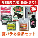 ☆夏バテ必需品セット☆
