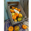 マルシェBOX(S) 【02P03Sep16】