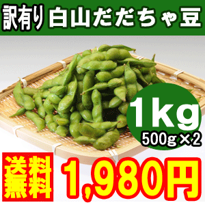 【予約】【送料無料】＼訳あり 白山 だだちゃ豆 1キロ／地元ショップ＆農家の共同栽培だからこそできるこの価格！豆ご飯などにもオススメです♪濃厚な風味が口いっぱいに広がりついつい食べ過ぎてしまいます（＾＾）8月中旬より順次発送