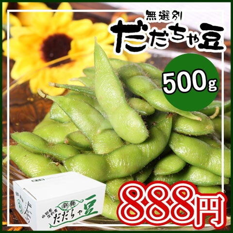 【予約】【無選別だだちゃ豆500g】地元ショップ＆農家の共同栽培だからこそできるこの価格！…...:hiroba-yamagata:10000019