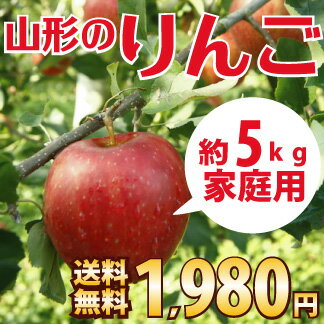 【予約】山形産りんご 「家庭用5kg」 送料無料1980円 11月下旬から順次発送！