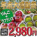 年末大感謝祭！山形産 りんご 2キロ・ラフランス 2キロセット！今なら送料無料2980円★贈答用にもどうぞ！日頃の感謝を込めまして年末感謝大セール！洋なしの女王ラフランス2キロと人気のサンふじりんご2キロがセットでなんと送料無料で2980円！贈答用にもお勧め★赤字覚悟の限定大特価